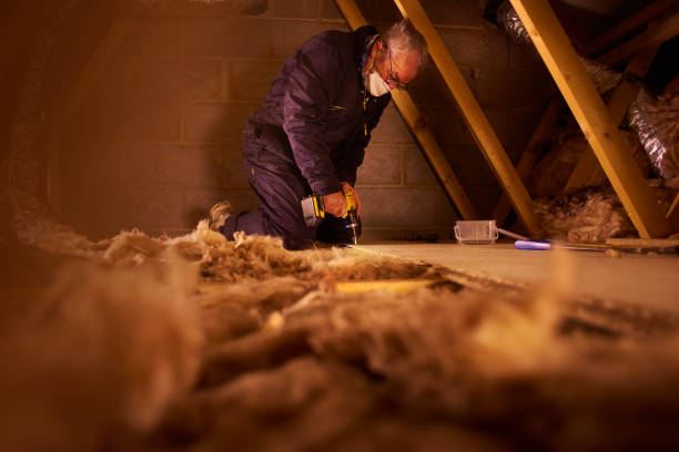 Types of Insulation We Offer in Lemon Grove, CA